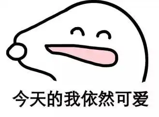 周五好玩儿的视频系列