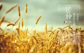 芒种如何过好百毒之月