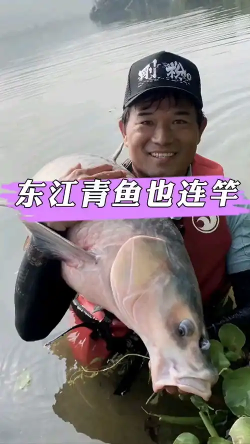东江青鱼也连杆钓鱼风景搞笑我和qq看点的那些事生活