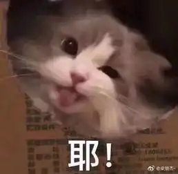 本周要事只做最懂你的向导第二周