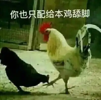 鸡年表情包下载鸡年表情包gif滑稽鸡年表情包