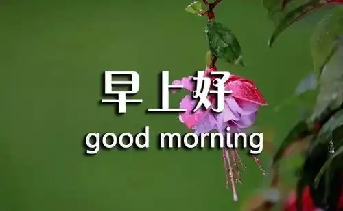 最火的早安心语正能量一句话早安励志的语录句子