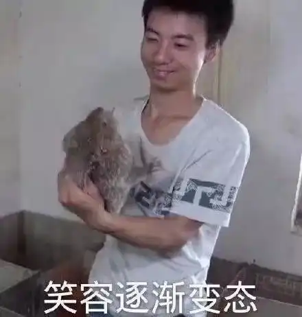 测试一个超长简介的文章