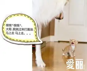 搞笑段子妈,你对牛仔裤的感情太好了,这是有什么特殊意义吗