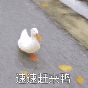 好消息1214岁的学生可以接种疫苗了