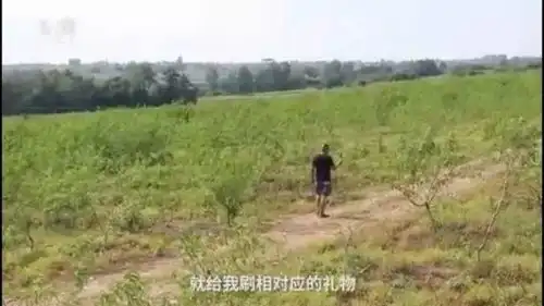 教你赚网上直播养鸡种田就能赚大钱湖北小伙玩出新花样