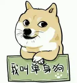 情人节单身趴梯单身狗的自救指南