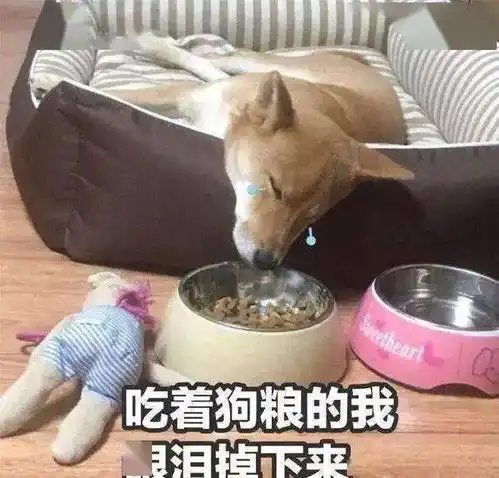 90后漂亮小姐姐,喜欢烹饪旅游愿与你携手一生