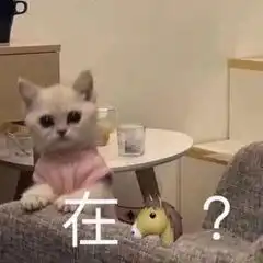 搞笑段子哈士奇撒手就跑不是吹的