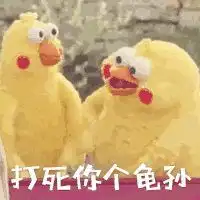 喔我的小蠢货表情包微信头像图片大全