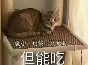 开学第一周,你家娃娃吃上猪肉了吗