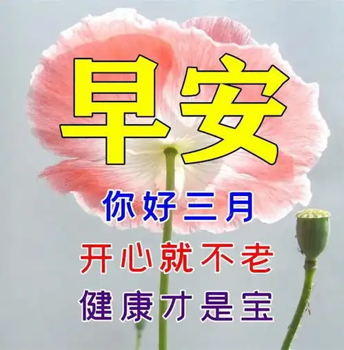 周六早上好问候动态表情图片带字带祝福语,一份温暖,一份祝福