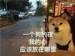测试一个超长简介的文章