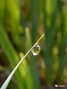 汉东的达康书记是谁二舅,蒙城的保安书记又是谁大叔