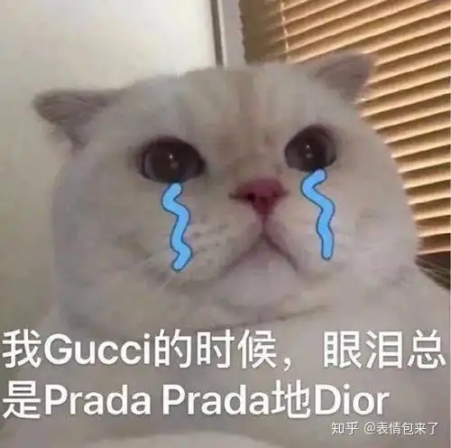 有没有那种适合朋友圈发的名媛拼团文案表情包图片