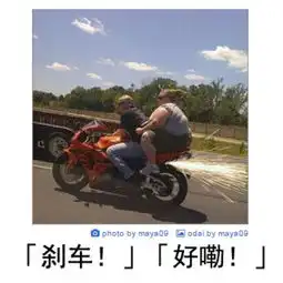 手办裙下细节都如此绅士囧雷傻缺550