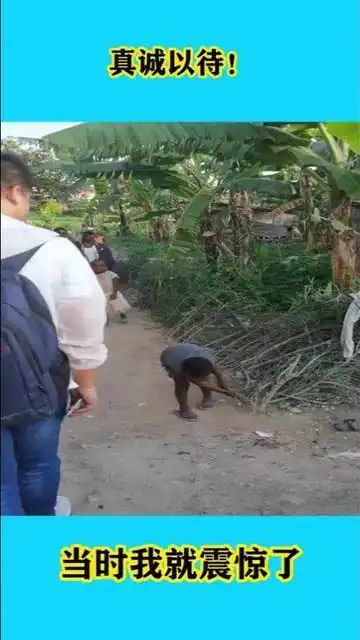 测试一个超长简介的文章