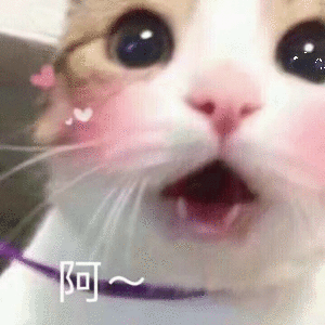 撩妹必备表情包一套轻轻地贴近你耳朵说,撒拉嘿呦