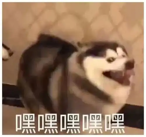 测试一个超长简介的文章