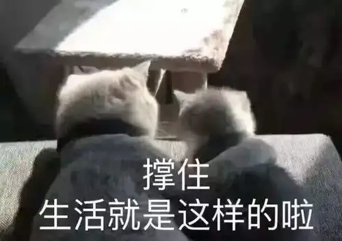 晴天霹雳啊詹姆斯倒了...