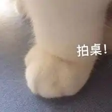猫爪爱心动态表情包抖音猫爪爱心超萌动态表情包分享
