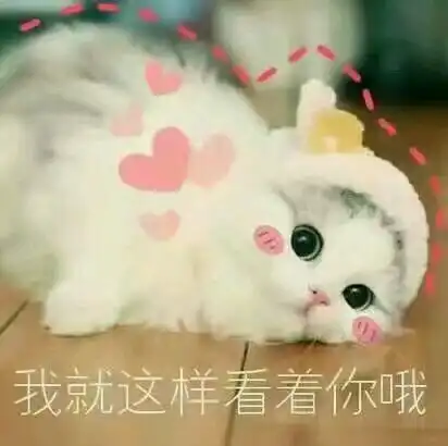 又皮又可爱的小句子
