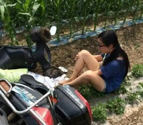 都说这十九图看了能让你变愉快