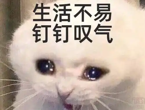 遭遇一星暴击,钉钉求饶了各位少侠,求放过