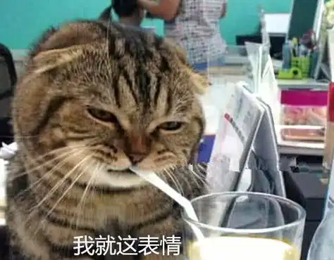 看见主人喝柠檬水很爽,猫咪忍不住上前撮一口,下一秒就后悔了
