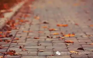 朗诵秋雨梧桐