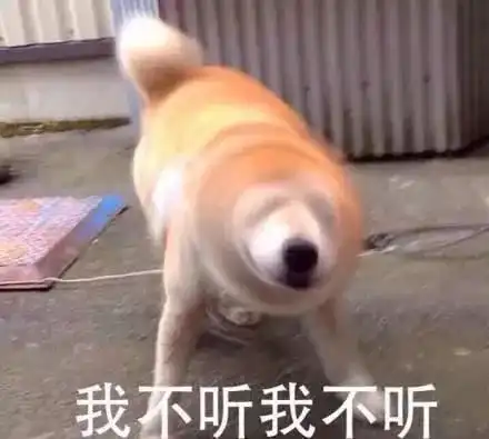 所有人,注意厦门中高考限噪期来了期间做这些事最高罚万元