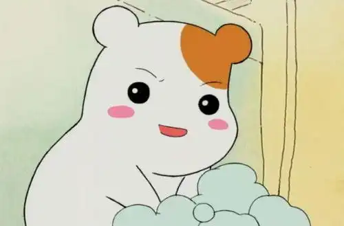 测试一个超长简介的文章