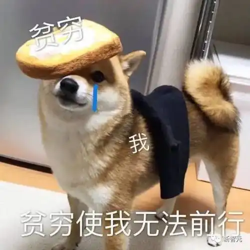 硅谷大厂寒气逼人,北美高校却火爆论堆招人
