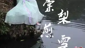 棠梨煎雪消得你一路而来的半生风雪生日贺原创编舞银临音源