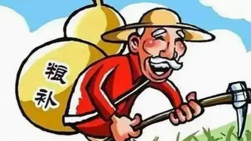 喜讯2019年,农民专享补贴落实,每亩地补贴650元