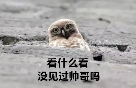 天呐噜城墙上竟然有这么一个小萌物还大秀表情包