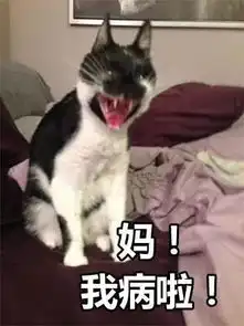 您儿女小时候的表情包,请您务必发给他她