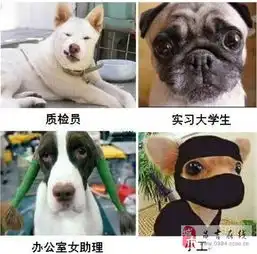 荆品新闻7.10荆州最高温破34洪湖监利最热