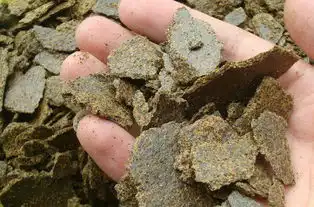 简单实用的淡水垂钓通杀窝料,诱鱼效果看得到