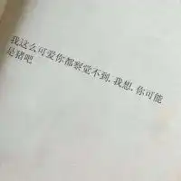 测试一个超长简介的文章
