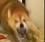 测试一个超长简介的文章