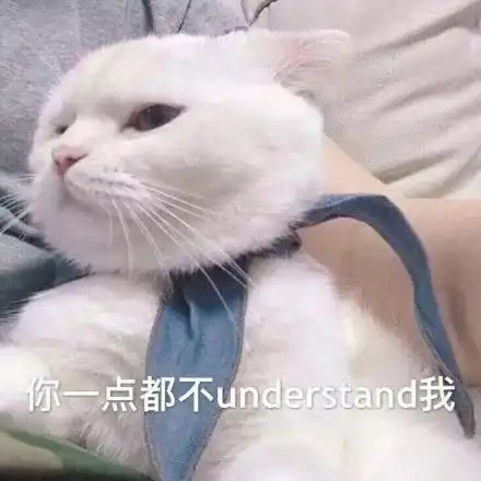 楽楽茶上新丨脏遍魔都的脏脏茶