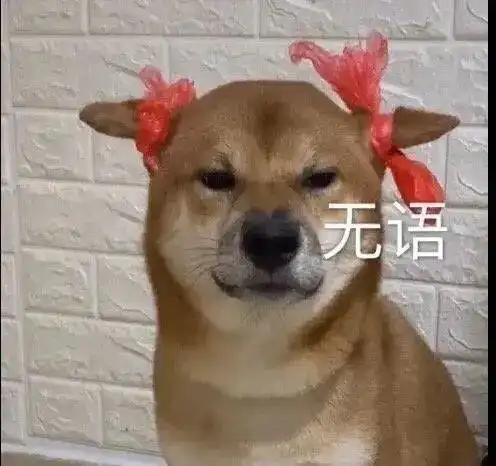 关于大学学生会我想说