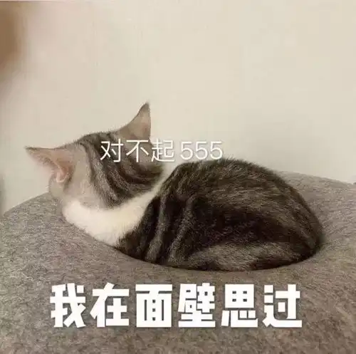 吵架以后给对方台阶下的表情包