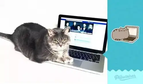 这只拥有超高人气的漫画喵形象,是否真实存在呢