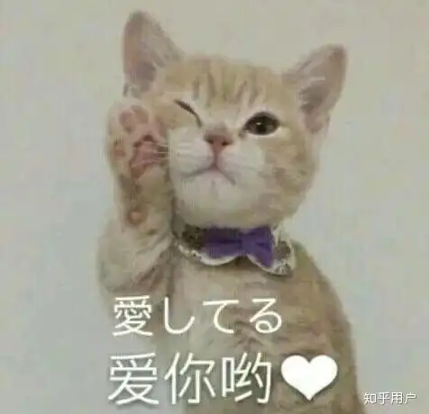 好看的小说
