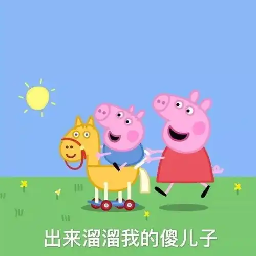 刚刚收到内部消息,今年双11...