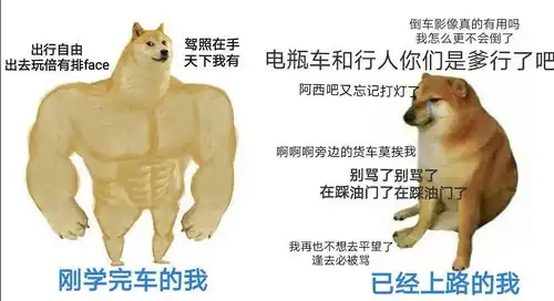 有哪些让人笑到肚子疼的搞笑图片