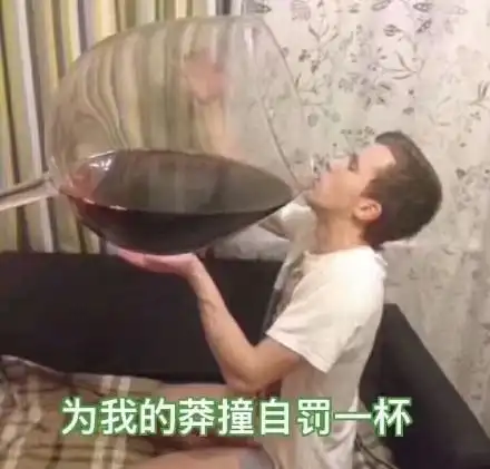 搞笑表情包为我的莽撞自罚一杯