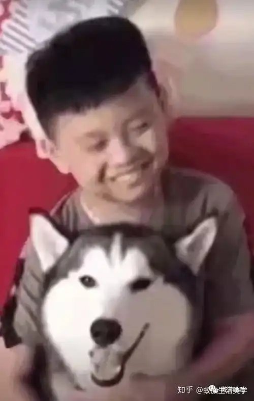 测试一个超长简介的文章